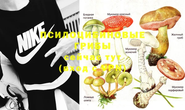 дмт Кинешма