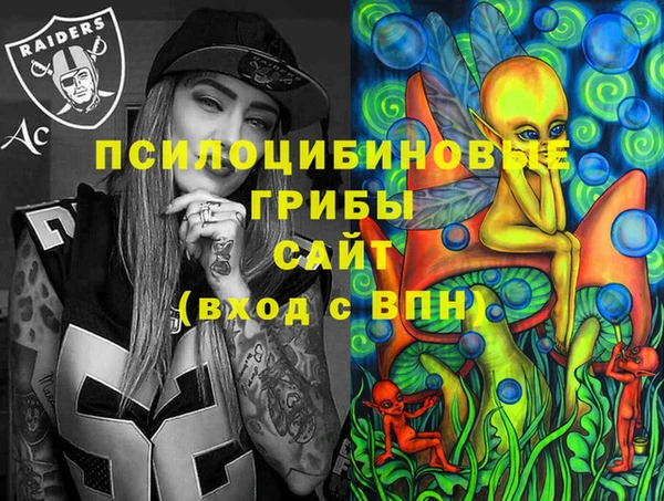 дмт Кинешма