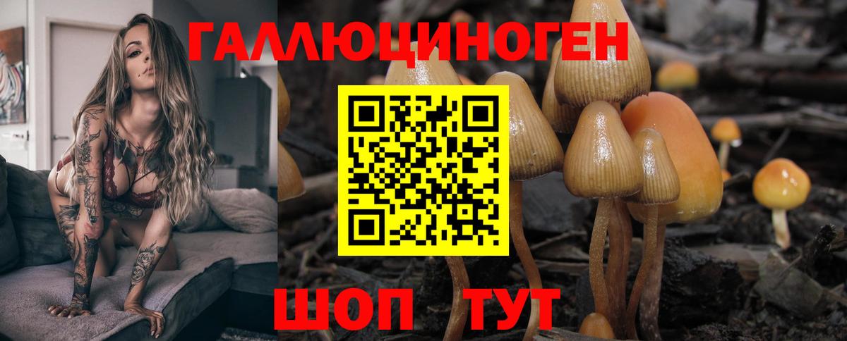 МАРИХУАНА Великий Устюг