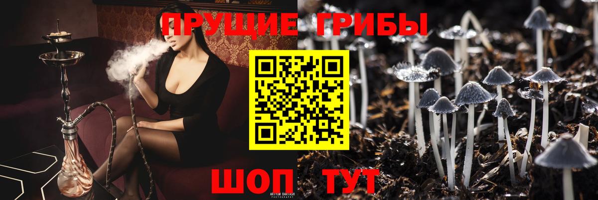 Великий Устюг  Псилоцибиновые грибы мицелий  Псилоцибиновые грибы прущие грибы  Вход с VPN 
